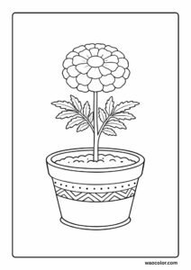 marigold flower coloring page