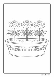 marigold flower coloring pages