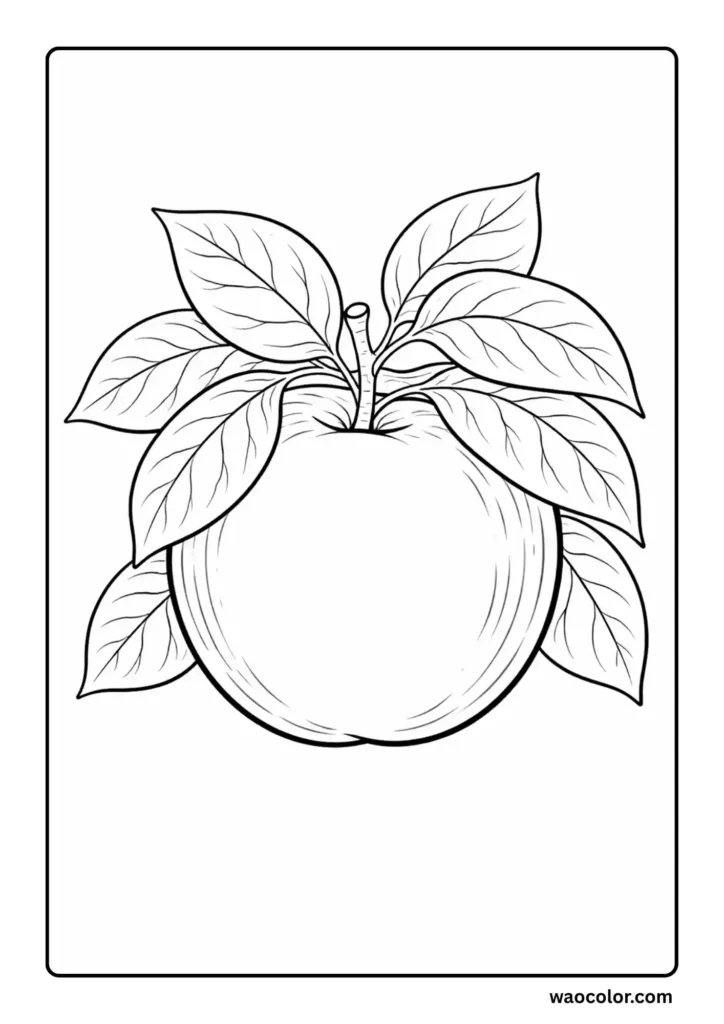 Apple Coloring Printables
