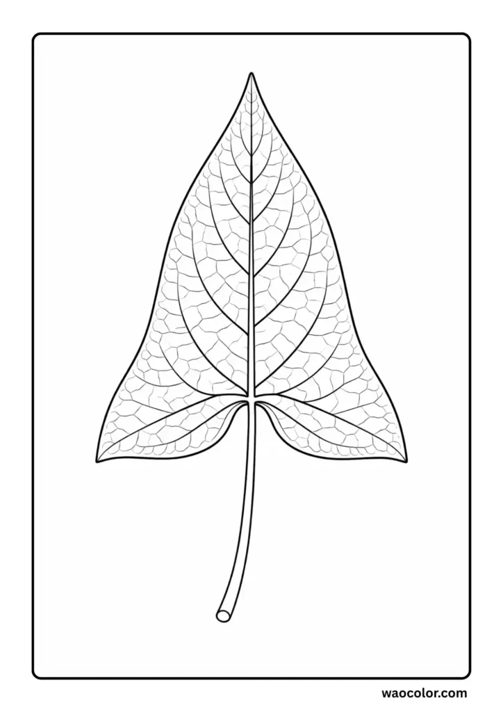 Arrowhead Leaf Coloring Pages