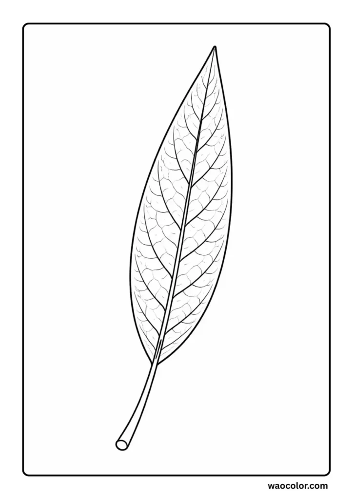 Bamboo Leaf Coloring Printable