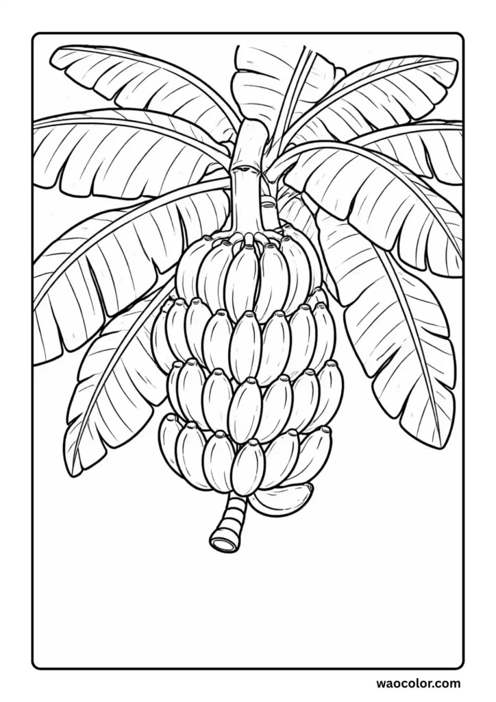 Banana Coloring Printables