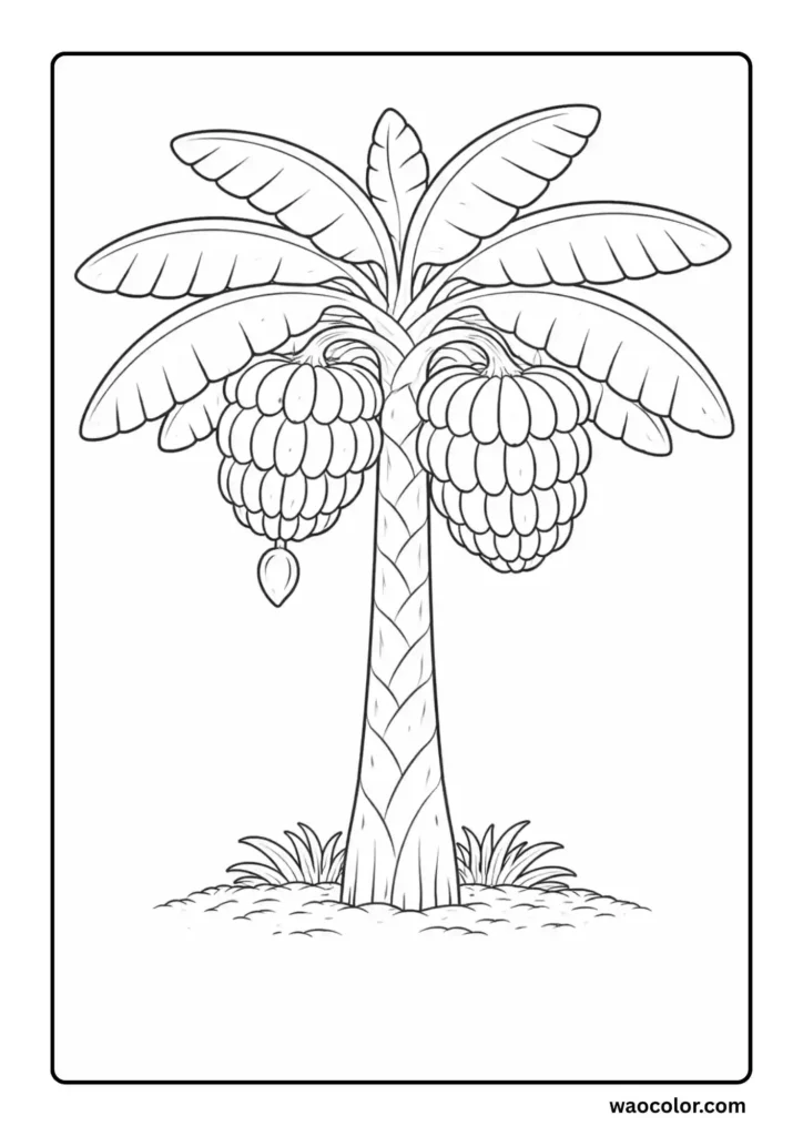 Banana Tree Coloring Printables
