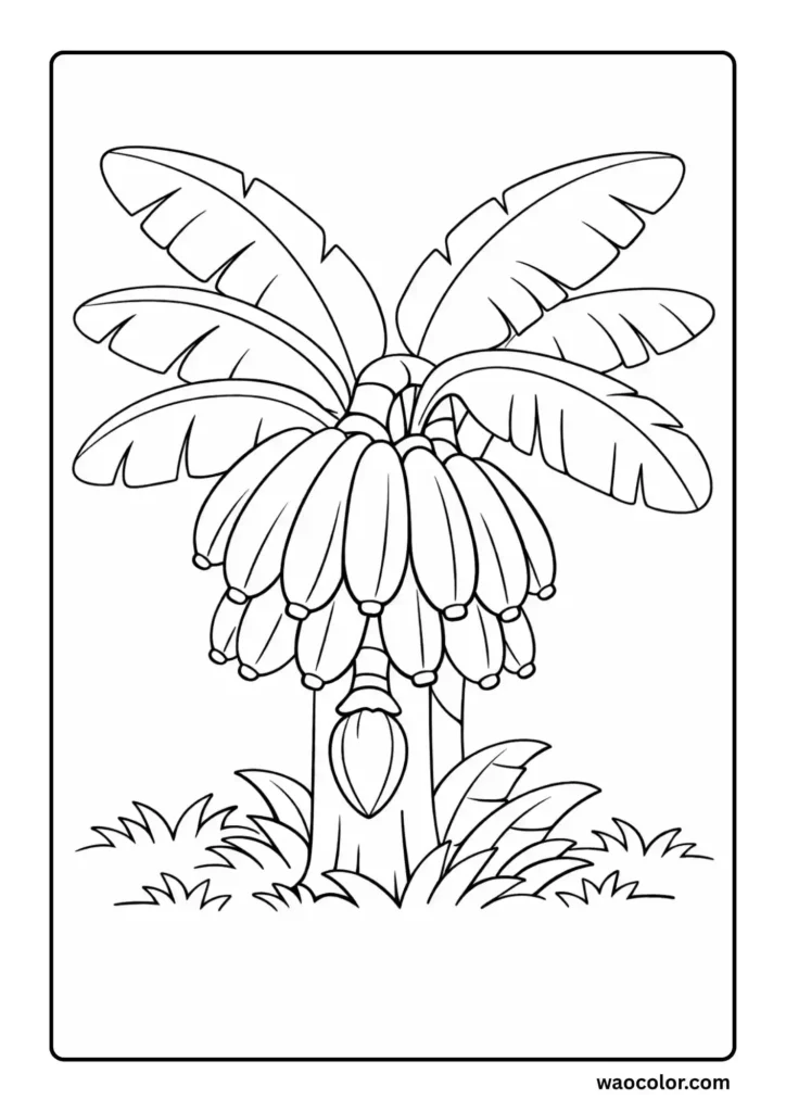Banana Tree Coloring Sheets