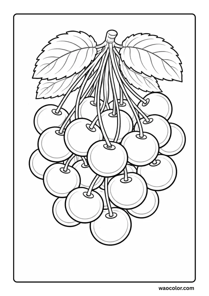Cherry Coloring Pages