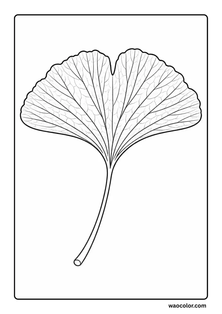 Ginkgo Leaf Coloring Printable