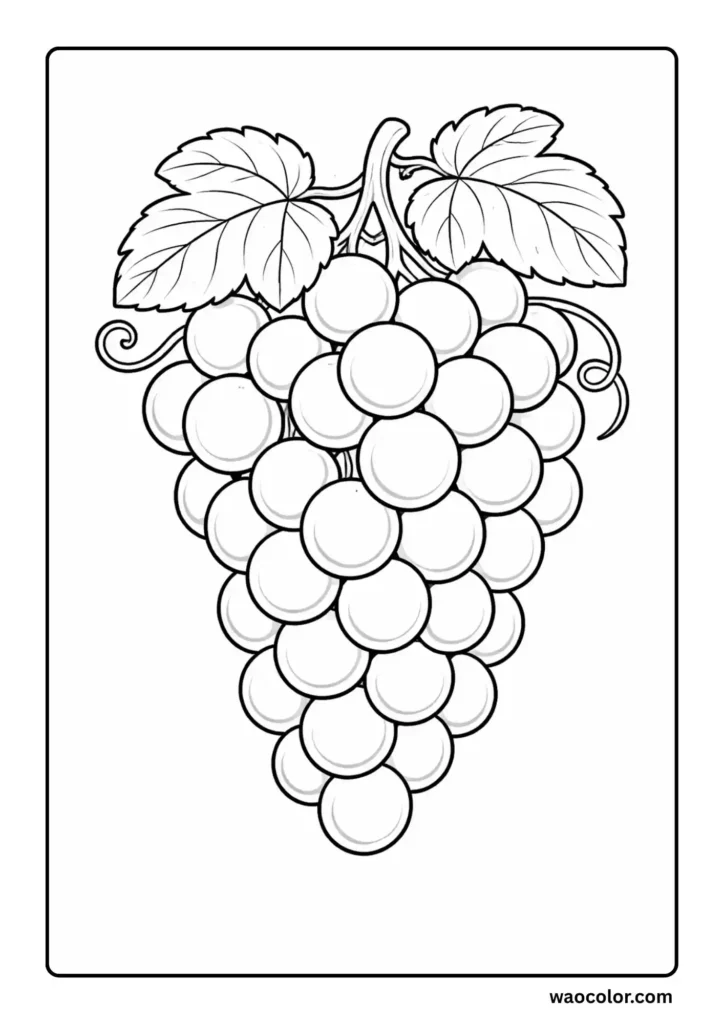 Grapes Coloring Pages