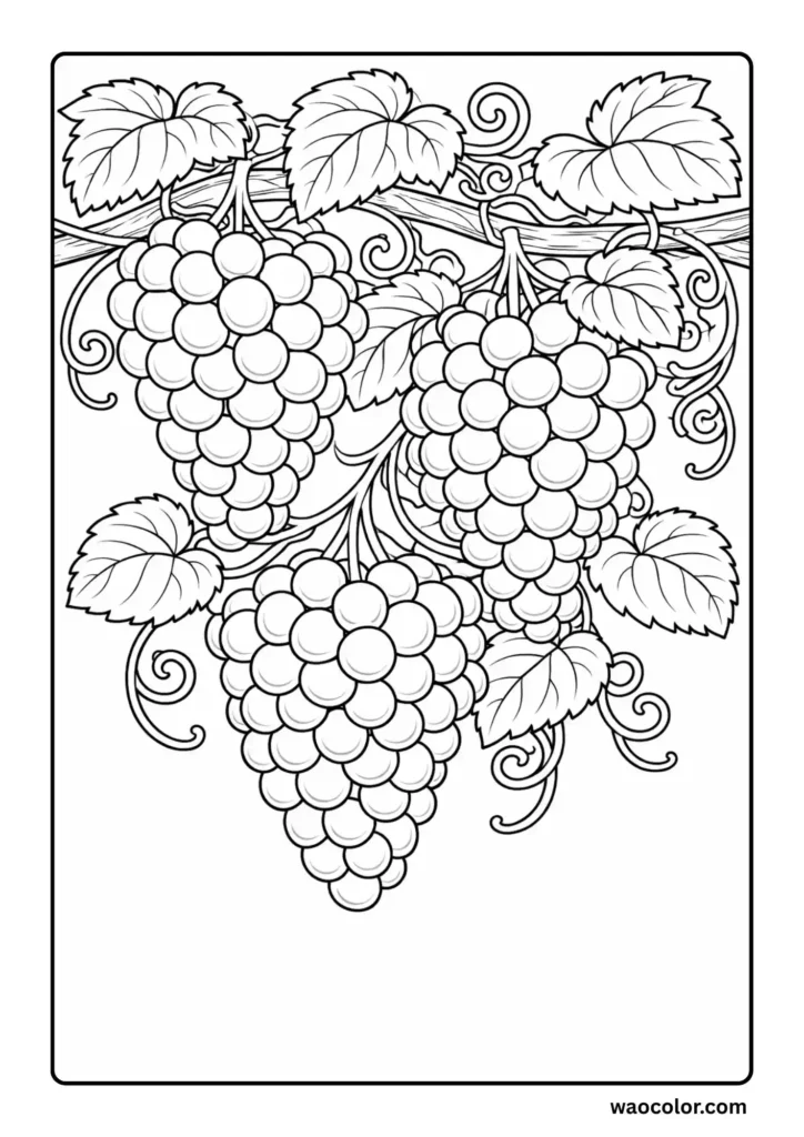 Grapes Coloring Printables
