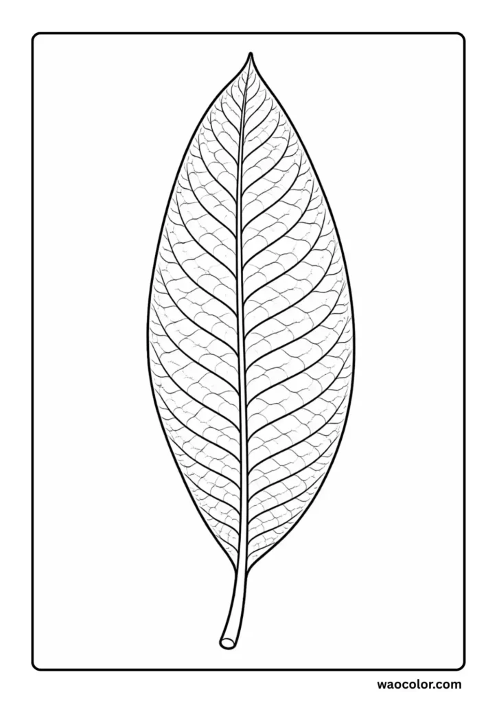Mango Leaf Page to Color