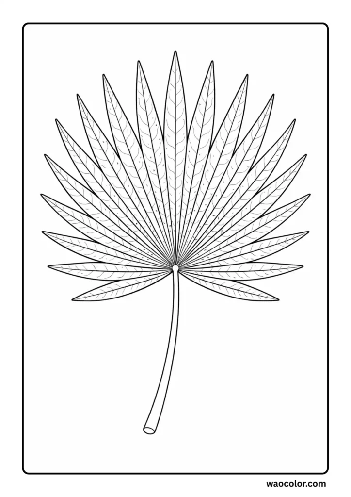 Palm Leaf Free Coloring Pages