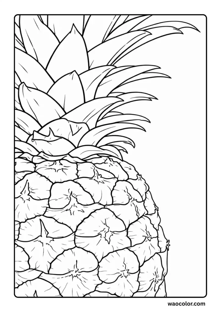 Pineapple Coloring Printables for Adults