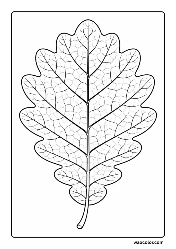 Printable Page of Oak Leaf to Color