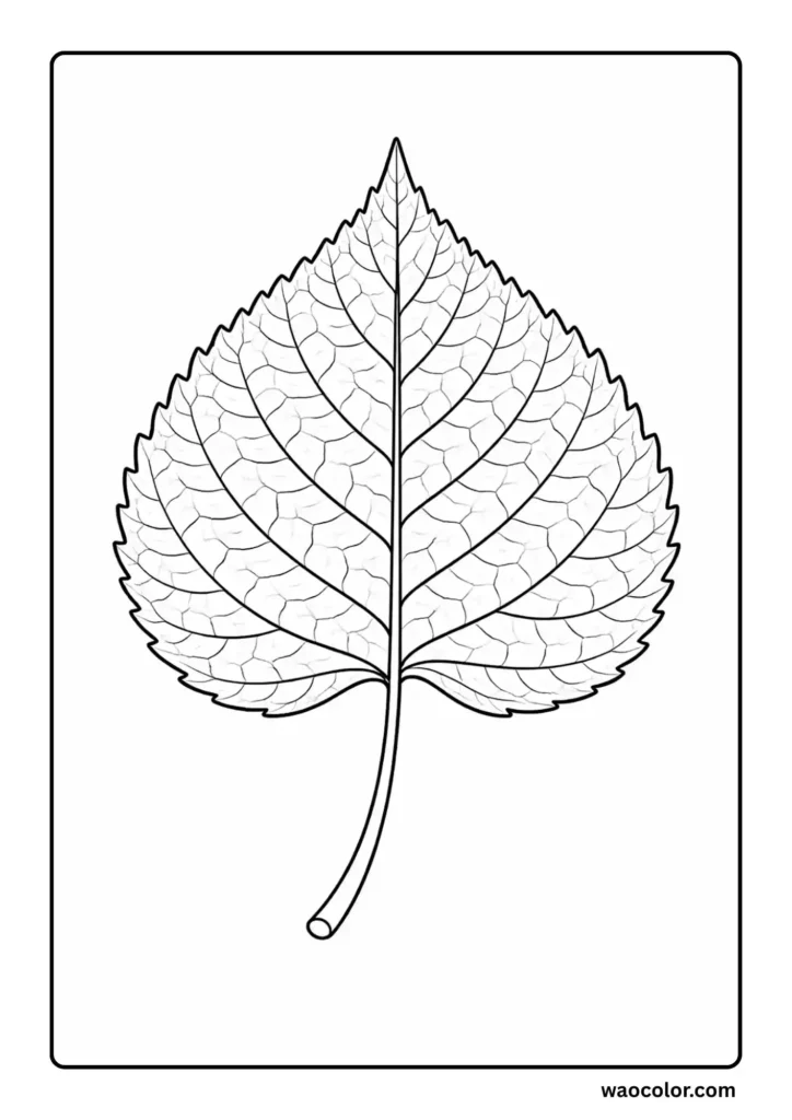 Cottonwood Leaf Color Pages