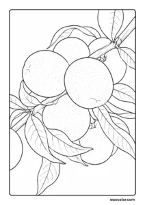 Cute Peach Branch Coloring Sheets for Beginners