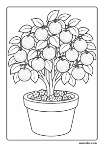 Easy Peach Plant Coloring Pages for Kids