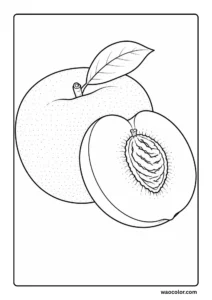 Free Peach Coloring Printables for Beginners