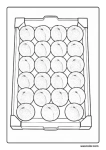 Fun Printable Coloring Pages of Peach Tray for Adult