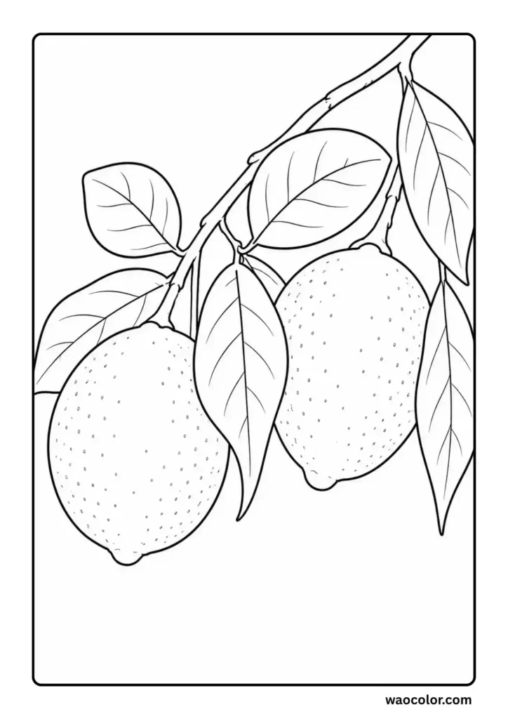 Minimalist Lemon Branch Coloring Pages