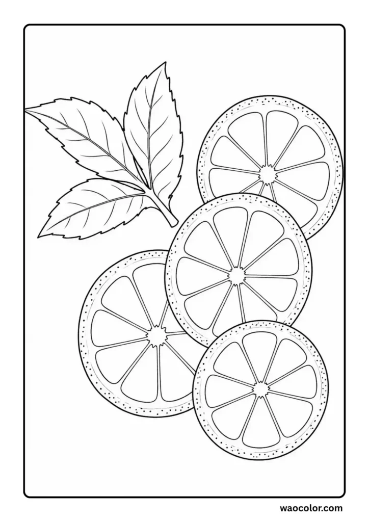 Simple Lemon Themed Coloring Pages for Infants