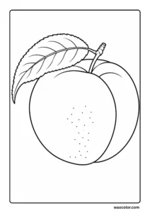 Simple Peach Coloring Pages for Kids